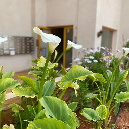 Ambar Beach Apartmán Calpe