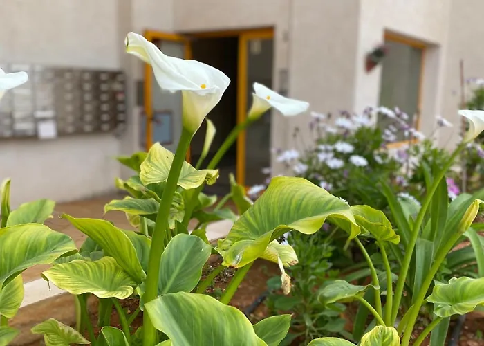 Ambar Beach Appartement Calp